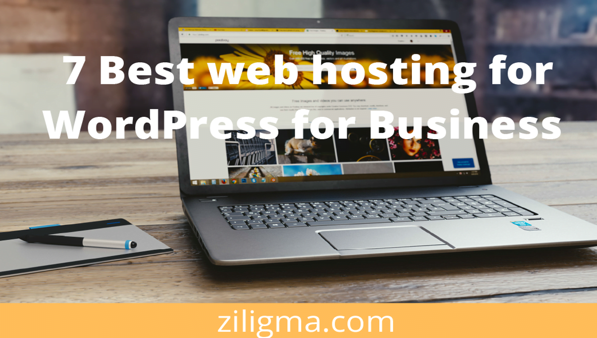 7 Best web hosting for WordPress for business