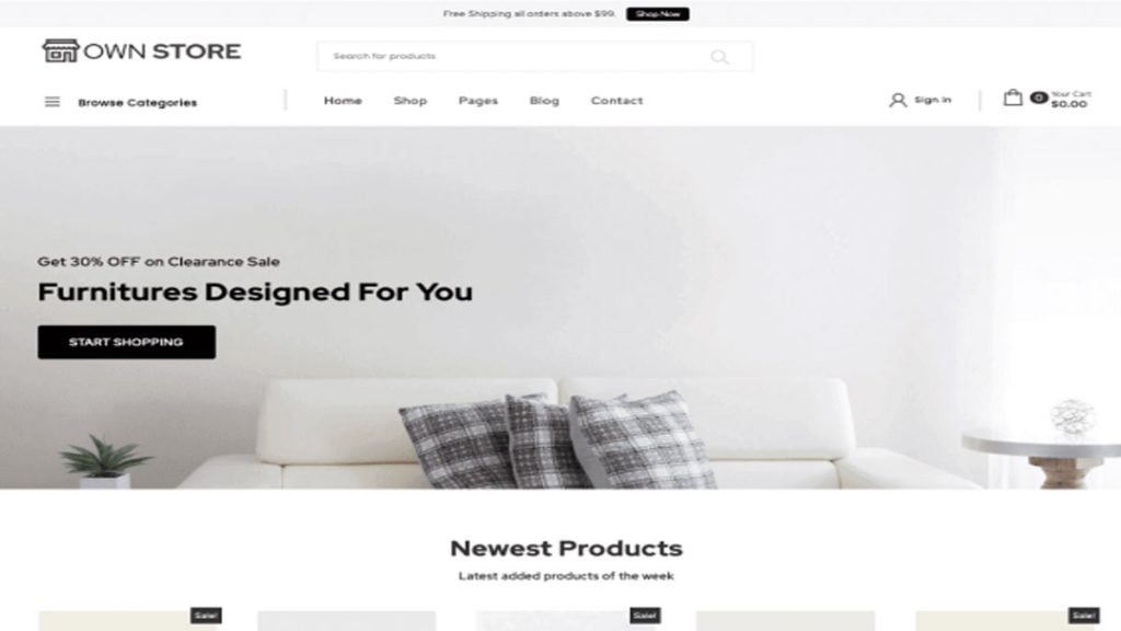 best ecommerce design - Own Store