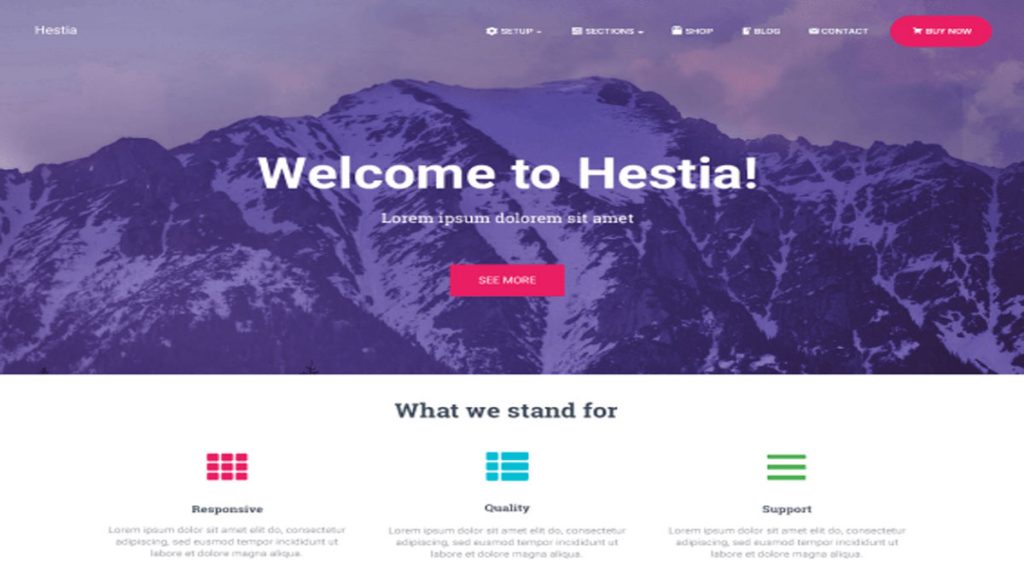 online store website templates - Hestia