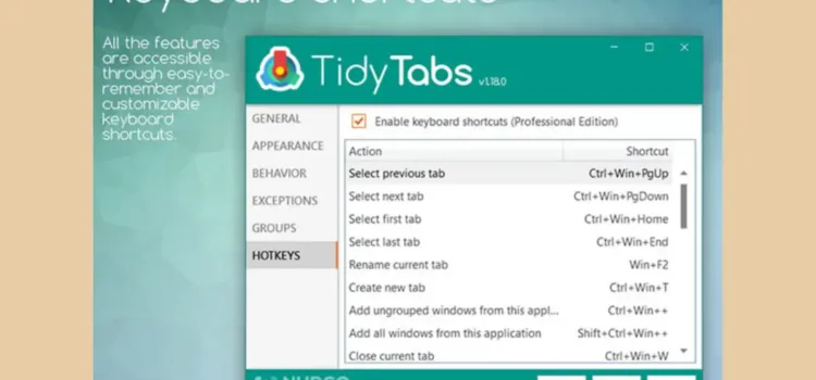 TidyTabs Windows Manager Review TidyTabs Windows Manager is a powerful workflow management software to organize all the programs under a single tab so that you can access them faster and more efficiently using this intuitive software solution.